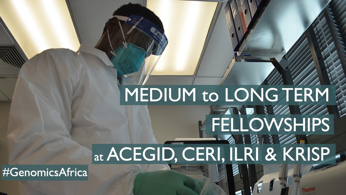 Get a funded fellowship placement at ACEGID!